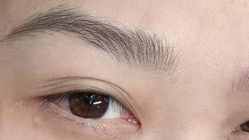 Giới Thiệu về Phẩy Sợi Mày Siêu Thật LuxStroke