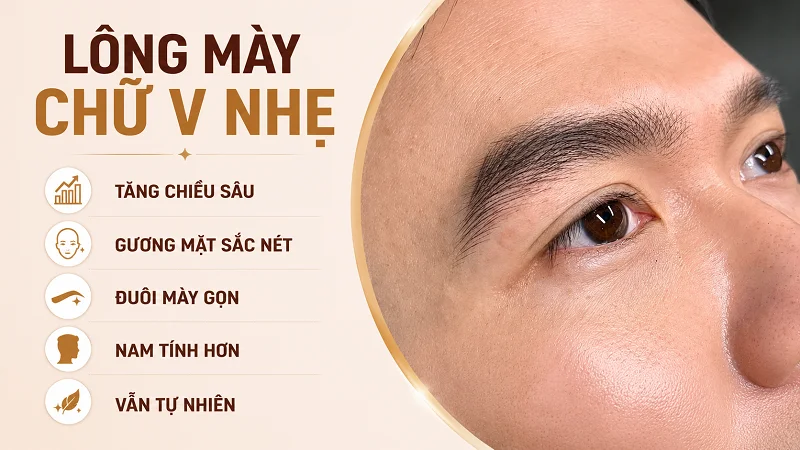Dáng Lông Mày Chữ V Nhẹ Dáng Lông Mày Chữ V Nhẹ