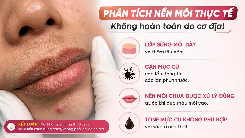 Phân tích nền môi thực tế tại sao không lên màu